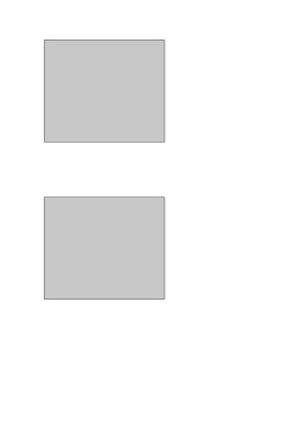 Template 8