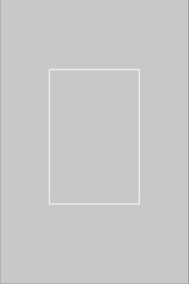 Template 3