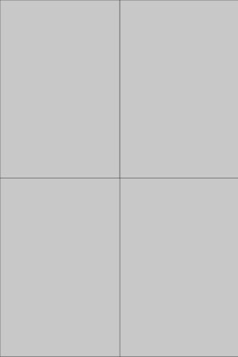 Template 4