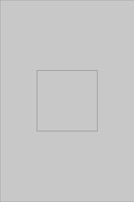 Template 3